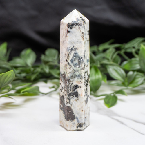 Blue Jay Sapphire Tower #8