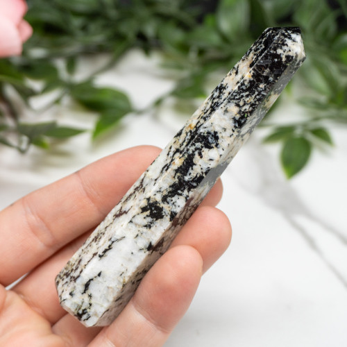 Blue Jay Sapphire Tower #7