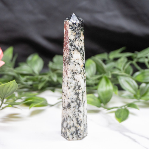 Blue Jay Sapphire Tower #7