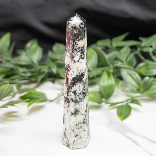 Blue Jay Sapphire Tower #7