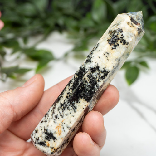 Blue Jay Sapphire Tower #6