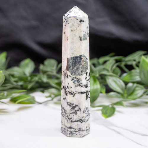 Blue Jay Sapphire Tower #5