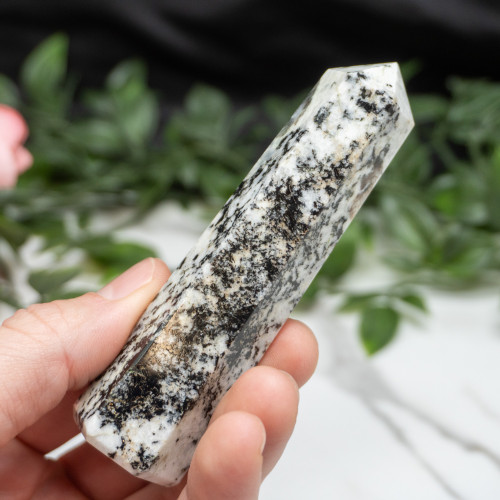 Blue Jay Sapphire Tower #4