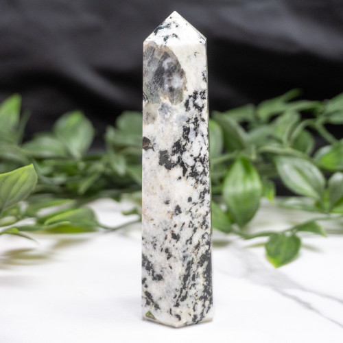 Blue Jay Sapphire Tower #4