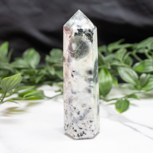 Blue Jay Sapphire Tower #3