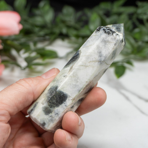 Blue Jay Sapphire Tower #3