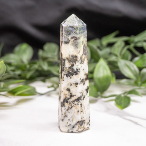 Blue Jay Sapphire Tower #2