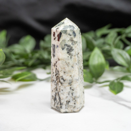 Blue Jay Sapphire Tower #1