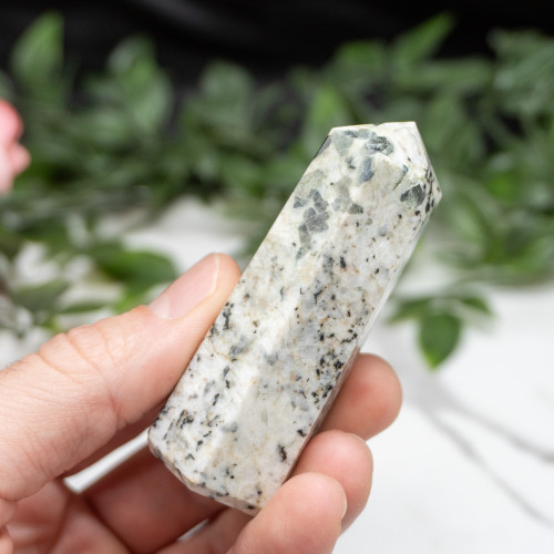 Blue Jay Sapphire Tower #1