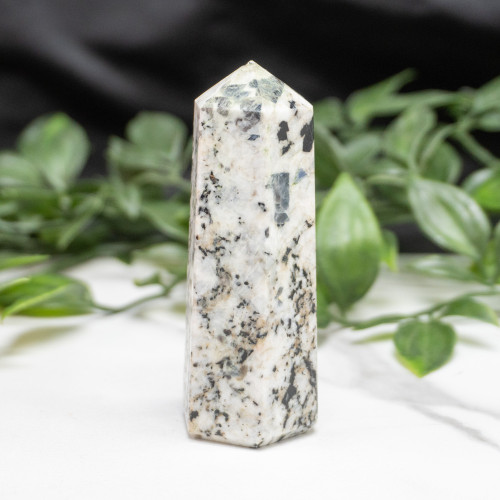 Blue Jay Sapphire Tower #1