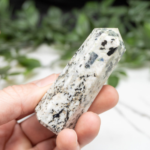 Blue Jay Sapphire Tower #1