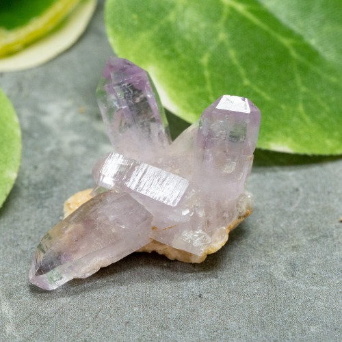 Vera Cruz Amethyst #21