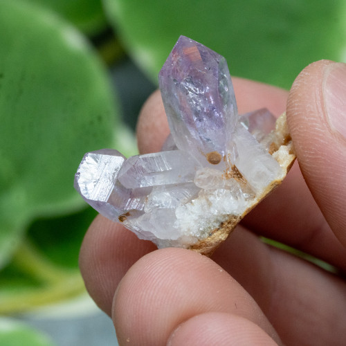Vera Cruz Amethyst #21