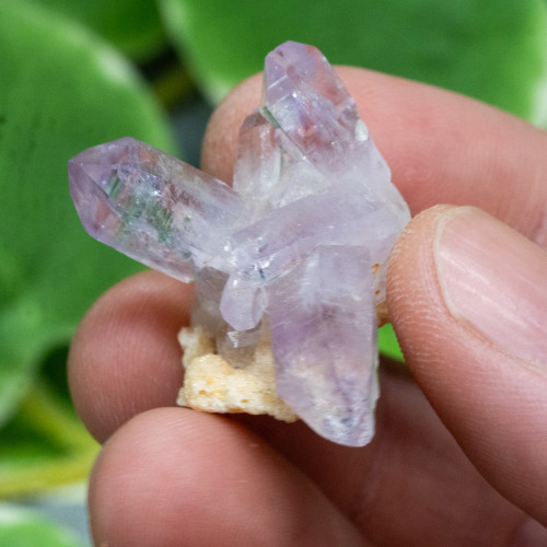 Vera Cruz Amethyst #21