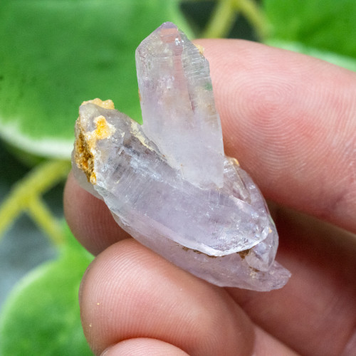 Vera Cruz Amethyst #20
