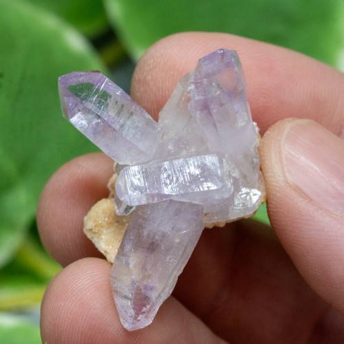 Vera Cruz Amethyst #21