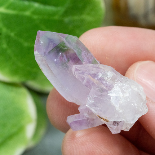 Vera Cruz Amethyst #19