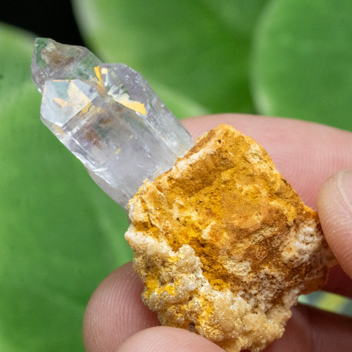 Vera Cruz Amethyst #17