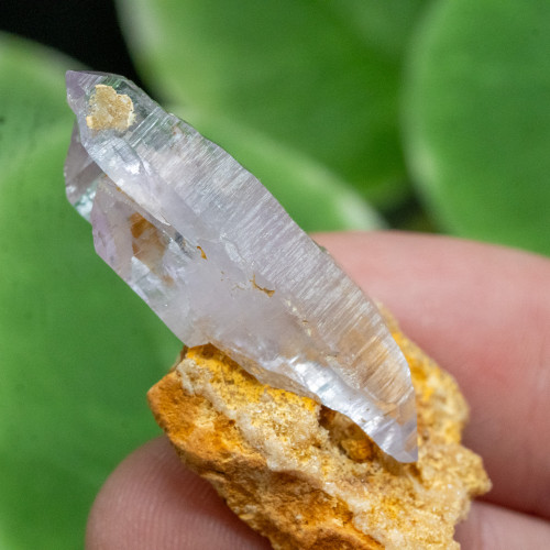 Vera Cruz Amethyst #17