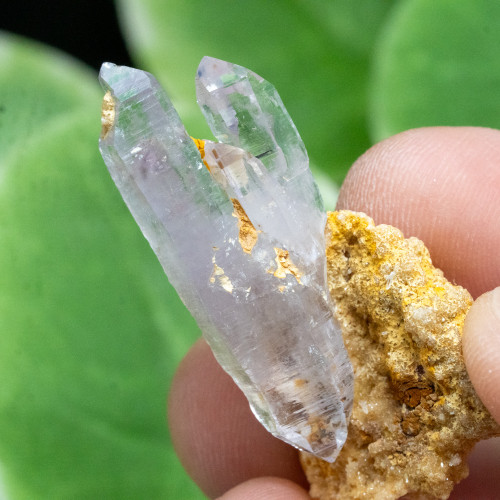 Vera Cruz Amethyst #17