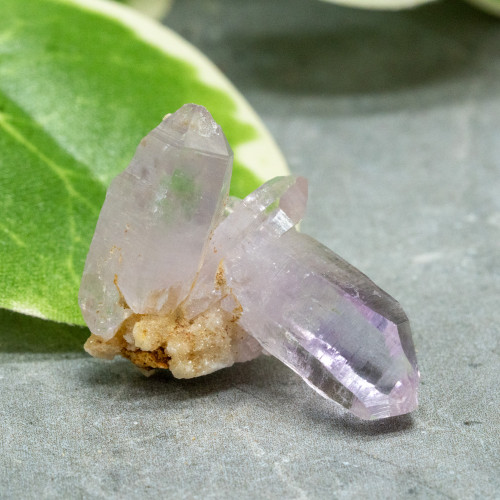 Vera Cruz Amethyst #16