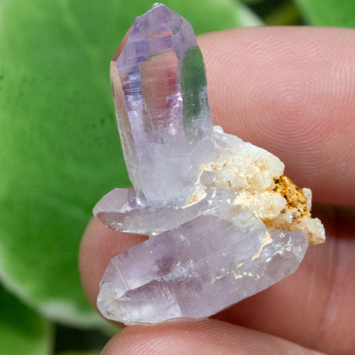 Vera Cruz Amethyst #16