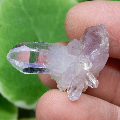 Vera Cruz Amethyst #16