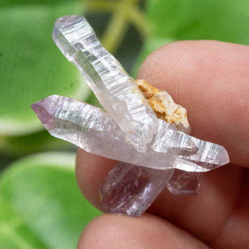 Vera Cruz Amethyst #15