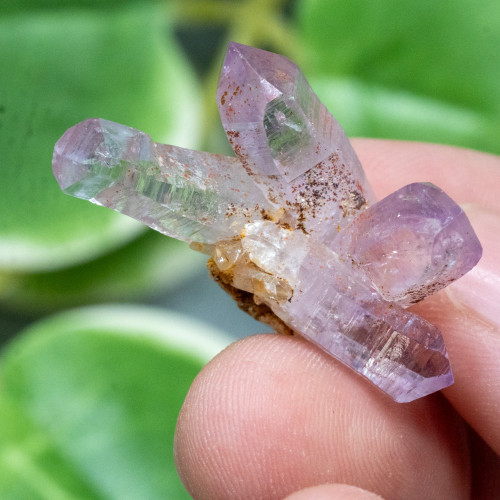 Vera Cruz Amethyst #15