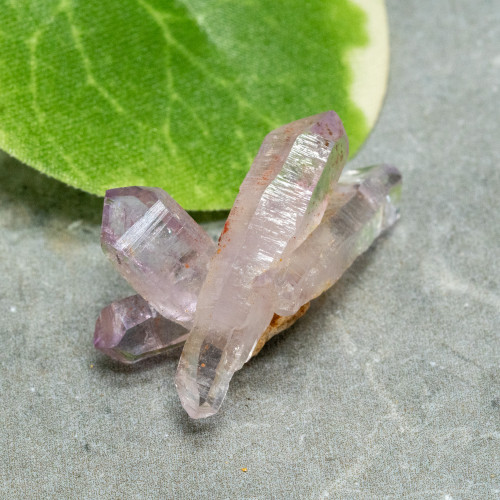 Vera Cruz Amethyst #15