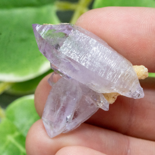 Vera Cruz Amethyst #14