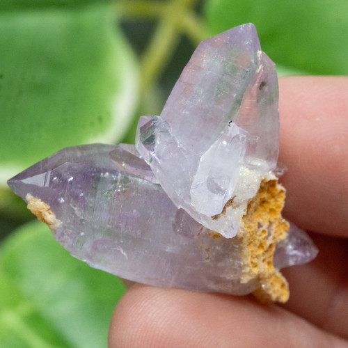 Vera Cruz Amethyst #14