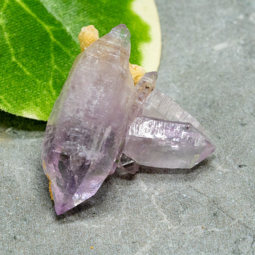 Vera Cruz Amethyst #14