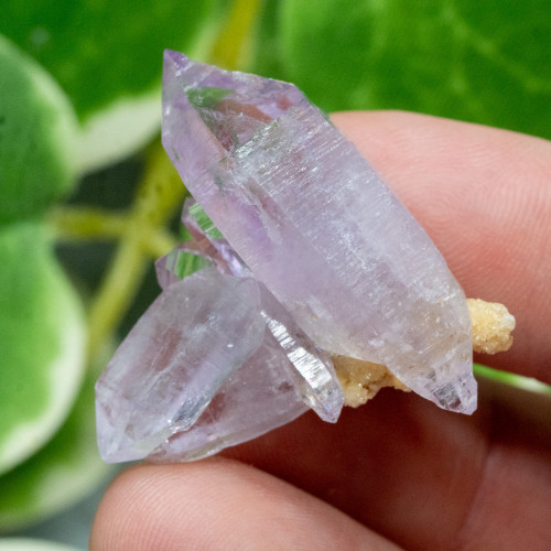 Vera Cruz Amethyst #14