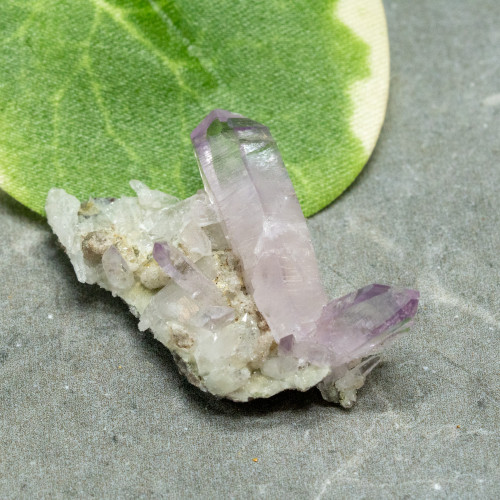 Vera Cruz Amethyst #13