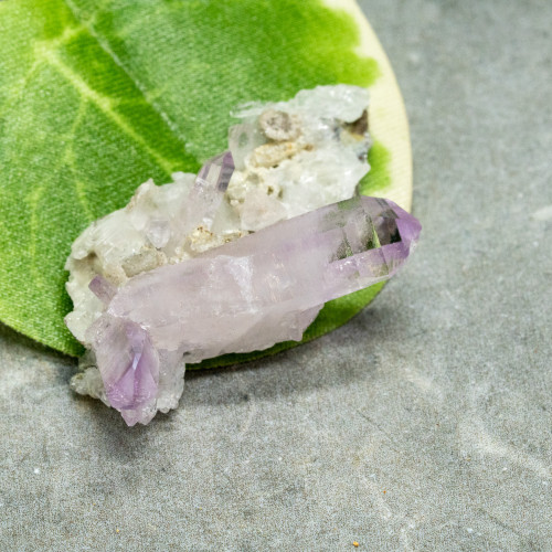 Vera Cruz Amethyst #13