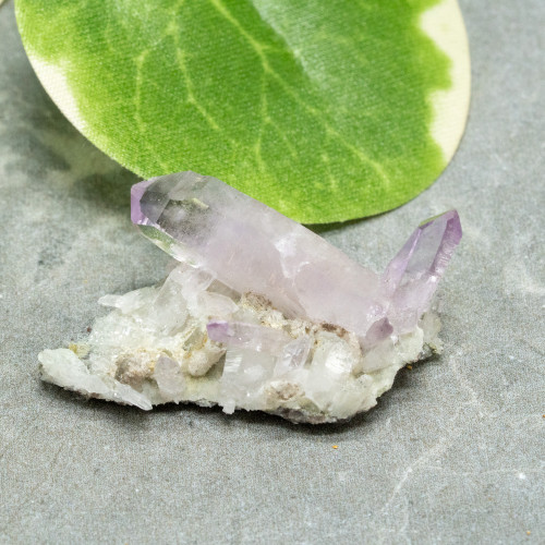 Vera Cruz Amethyst #13