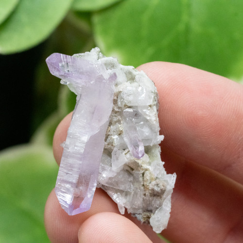 Vera Cruz Amethyst #13