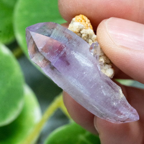 Vera Cruz Amethyst #12