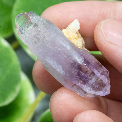 Vera Cruz Amethyst #12