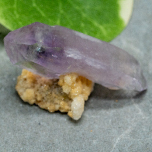 Vera Cruz Amethyst #12