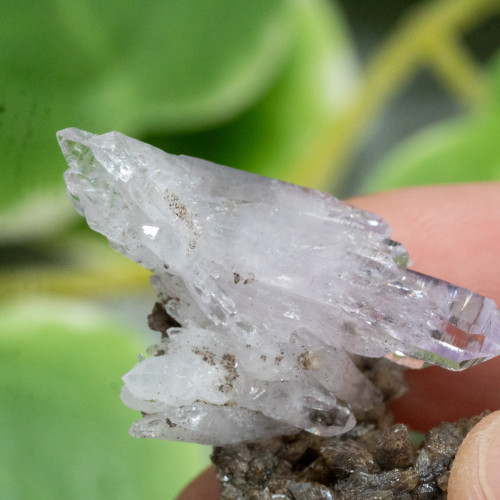 Vera Cruz Amethyst #11