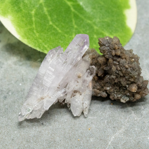 Vera Cruz Amethyst #11