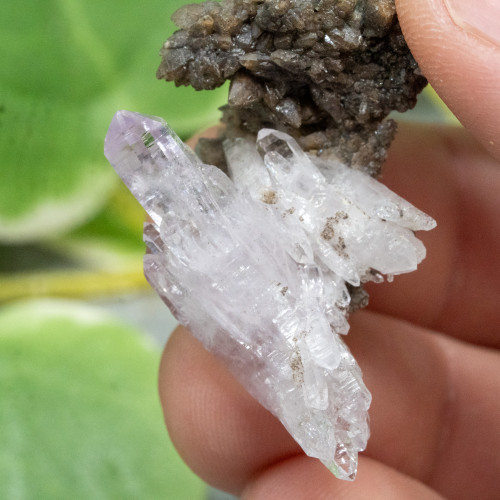 Vera Cruz Amethyst #11