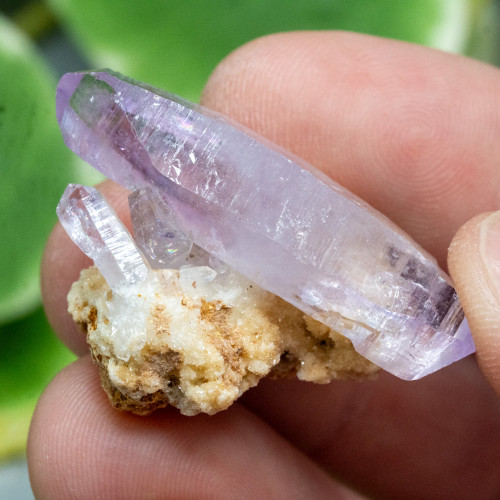 Vera Cruz Amethyst #10