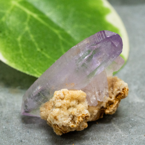 Vera Cruz Amethyst #10
