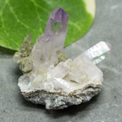 Vera Cruz Amethyst #9