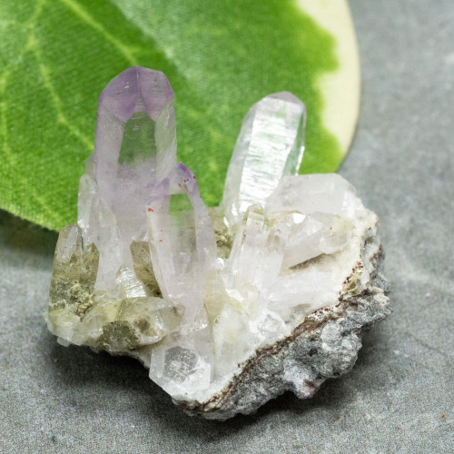 Vera Cruz Amethyst #9