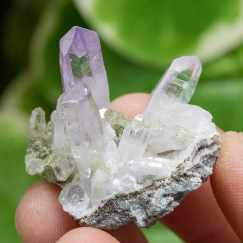Vera Cruz Amethyst #9