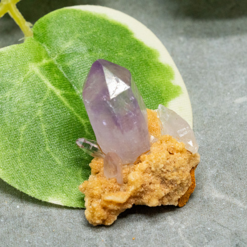 Vera Cruz Amethyst #8